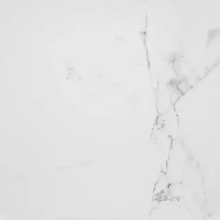PORCELANOSA CARRARA BLANCO BRILLO L 59.6х59.6 G-347