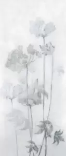 MIRAGE ESPOIR FROID LUC SQ 120х278х0.6