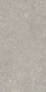 PERONDA MANHATTAN GREY AS C/R 60х120 BN-116