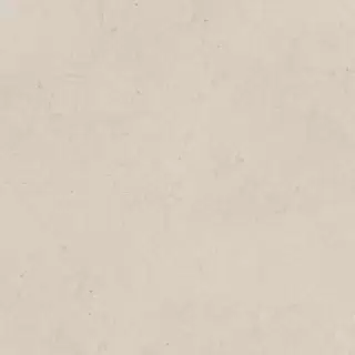 PORCELANOSA DORCIA BONE L 80х80 G-369