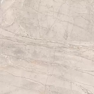 PORCELANOSA COLORADO SILVER L 120х120 G-392