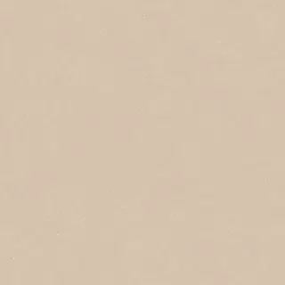 PORCELANOSA TERRA CLAY L 120х120 G-392