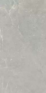 PERONDA ALCHEMY IRON AS 60х120 BN-116