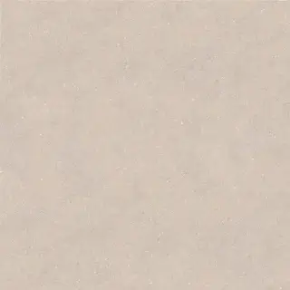 PORCELANOSA TERRA TOPO L 120х120 G-392