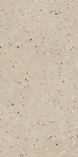 MIRAGE TERRAZZO CARIBBEAN RO 12 SP SQ 60х119.7x0.8