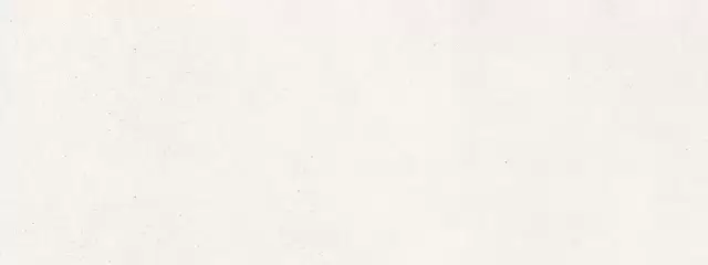 PORCELANOSA BOTTEGA WHITE 45х120 G-270