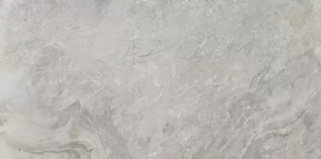 PORCELANOSA IMAGE SILVER 59.6х120 G-369