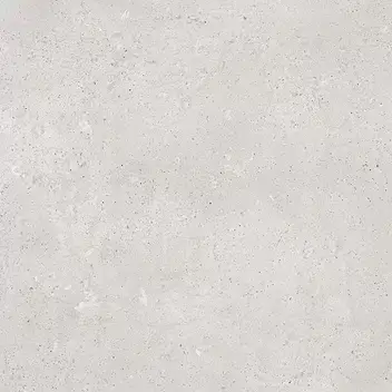 PORCELANOSA DOVER CALIZA L 59.6х59.6 G-354