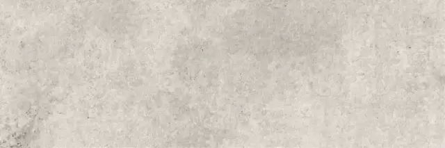 PORCELANOSA BALTIMORE NATURAL 33.3x100 G-271