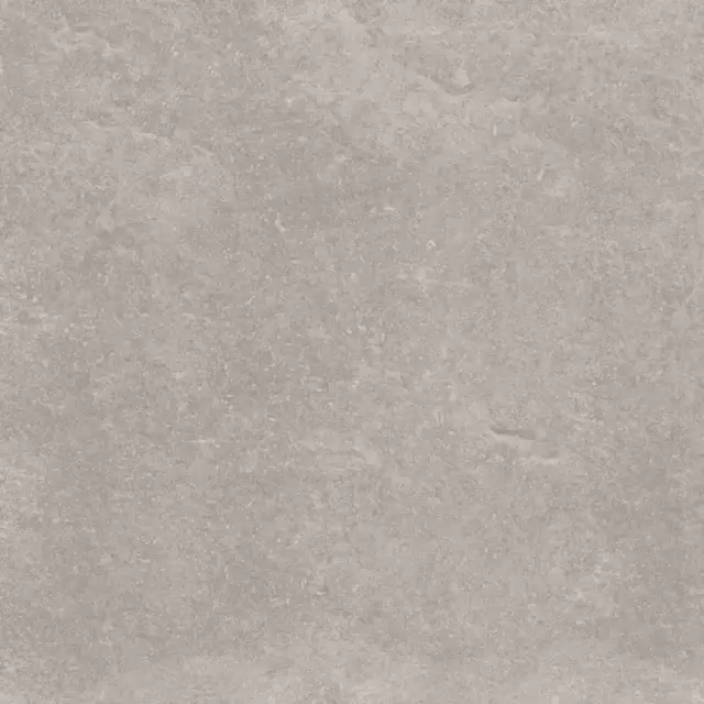 PORCELANOSA VERBIER SILVER L 120х120 G-392