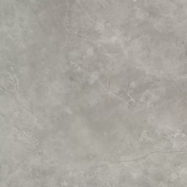 PORCELANOSA XLIGHT FIORI DI BOSCO SILK 120х120x6 G-2530