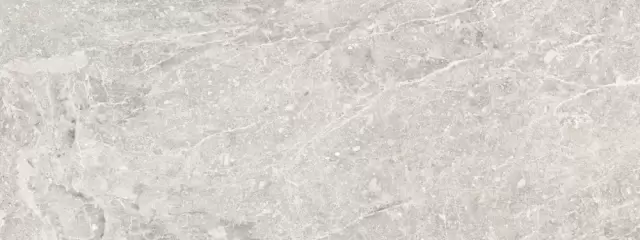 PORCELANOSA NOIR CALIZA 45х120 G-270