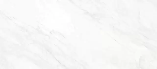 PORCELANOSA XLIGHT GLEM WHITE POLISHED 120х270 G-2504