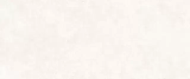 PERONDA GROUND BONE SP 100х275 BN-141