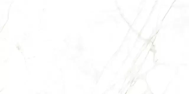 MUSEUM DUAL WHITE NT 60х120x0.9 M-101