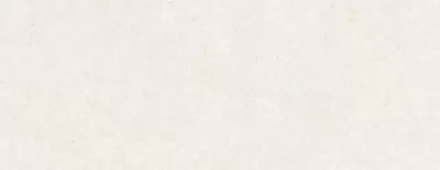 PERONDA MANHATTAN BONE SP 100х275 BN-141