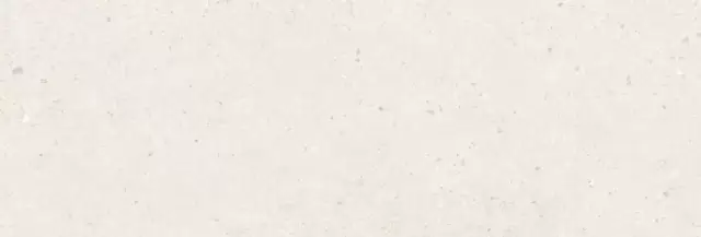 PERONDA MANHATTAN BONE SP 33.3х100 BN-8