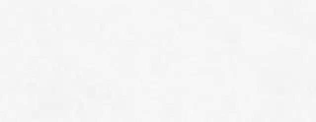 PERONDA MANHATTAN WHITE SP 100х275 BN-142