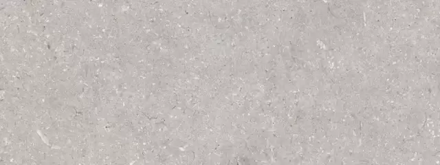 PORCELANOSA CORAL ACERO 45х120 G-270