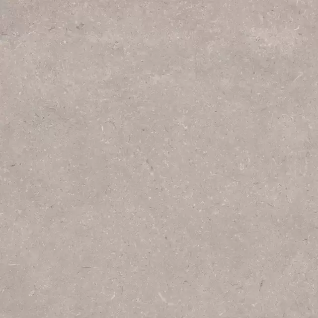 PORCELANOSA CORAL TOPO L 120х120 G-392