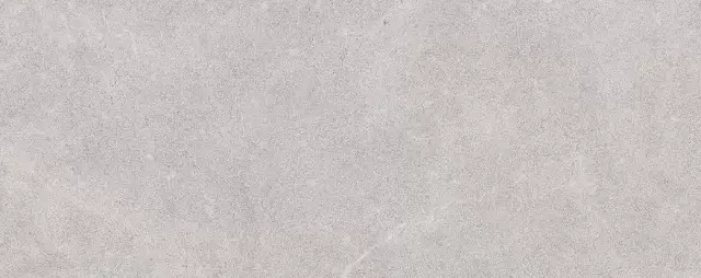 PORCELANOSA SAVANNAH ACERO 59.6х150 G-276