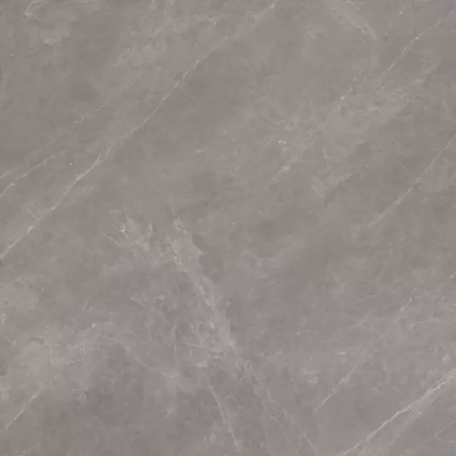 PORCELANOSA MYSTIC GREY L 120х120 G-392