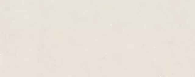 PORCELANOSA TERRA BONE 59.6х150 G-276