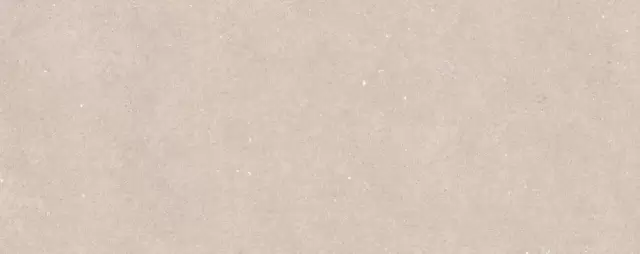 PORCELANOSA TERRA TOPO 59.6х150 G-276