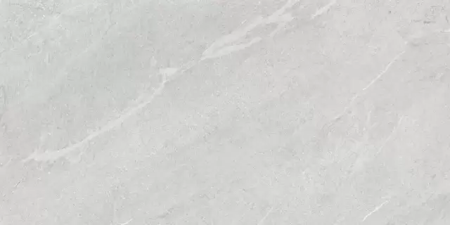 COLORKER DHARA ASH MATE 59.5х119.2 M-83