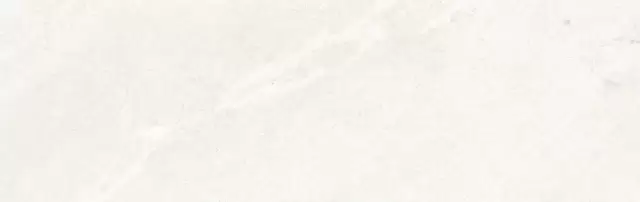 COLORKER DHARA WHITE 31.6х100 M-75