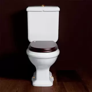 SIMAS Arcade Унитаз моноблок 36,5х68,5см, выпуск в пол, цвет: белый/золото