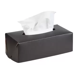 Colombo Adj Салфетница Kleenex, 23x12H7,5 см, цвет: шоколад/капучино