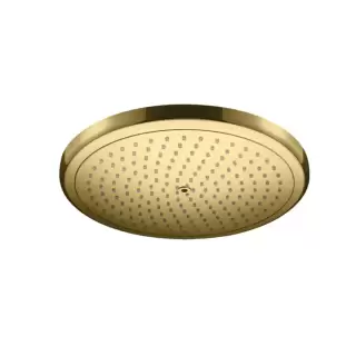 Hansgrohe Rainfinity Верхний душ 280 мм, цвет: полированное золото