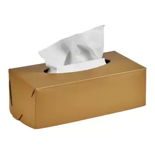 Colombo Adj Салфетница Kleenex, 23x12H7,5 см, цвет: горчичный/оливковый