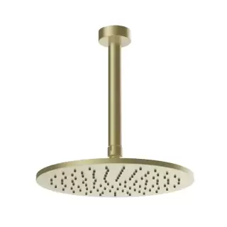 Gessi Ingranaggio Душевая головка потолочная, поворотная с шарниром, цвет: Brushed Brass PVD