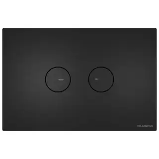 Artceram INOX Смывная клавиша, цвет: черный матовый