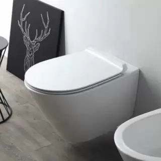 Simas Gambassi Унитаз  подвесной безободковый 56.5х37,5 см, цвет: белый