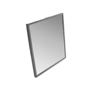 Globo Ausilia Зеркало специальное 58х44см.