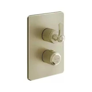 Gessi Venti20 Смеситель для душа, встраиваемый, термостатический, с переключателем на 2 положения, внешняя часть, цвет: Brushed Brass PVD