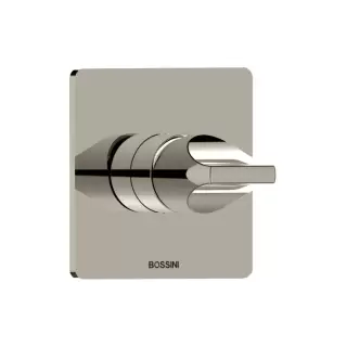 Bossini Apice Смеситель для душа, встраиваемый, цвет: брашированный никель