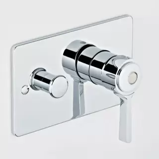 THG CAPUCINE VERT DECOR PLATINE Смеситель для душа встраиваемый, однорычажный, с переключателем, внешняя часть, декор платина, цвет: хром