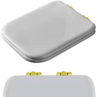 Kerasan Waldorf Сиденье для унитаза, с микролифтом, цвет: белый/золото