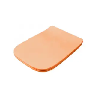 Artceram A16 Сиденье для унитаза с микролифтом, цвет: arancio cammeo, петли: хром