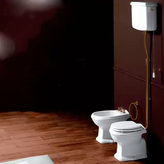 SIMAS Arcade Унитаз напольный, выпуск в стену, 36,5х55см, с высоким бачком, с фурнитурой, цвет: белый/бронза