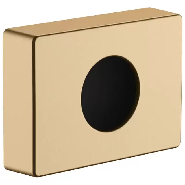 Hansgrohe AddStoris Держатель гигиенических пакетов, цвет: шлифованная бронза