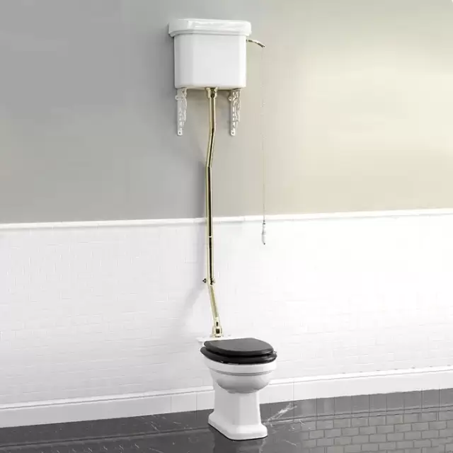 Devon&Devon Blues Унитаз 65.3x35.7cм, с высокой трубой, цвет: белый, фурнитура золото