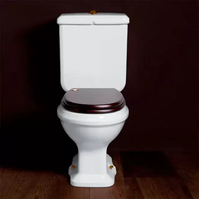 SIMAS Arcade Унитаз моноблок 36,5х68,5см,выпуск в пол, цвет: белый/бронза