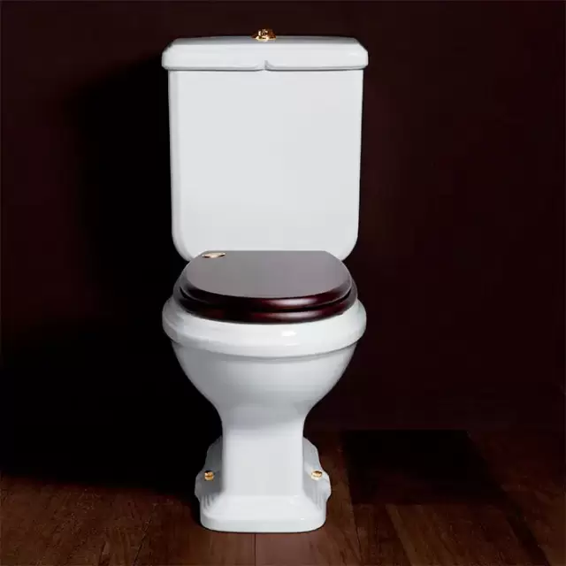 SIMAS Arcade Унитаз моноблок 36,5х68,5см, выпускв стену, с фурнитурой, цвет: белый/золото