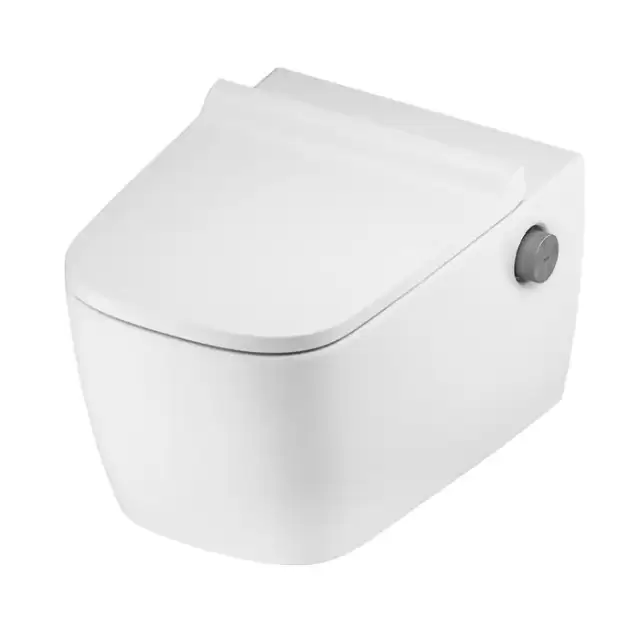 TECEneo Унитаз-биде подвесной 54х36х36см, безободковый, смыв Tornado, с крепежом, цвет: белый