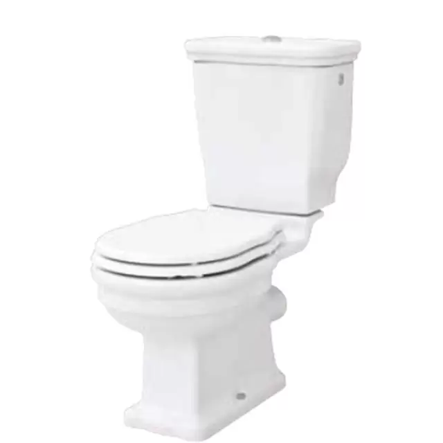 Artceram HERMITAGE унитаз моноблок 71х36см слив в стену с креплением, цвет: белый/бронза